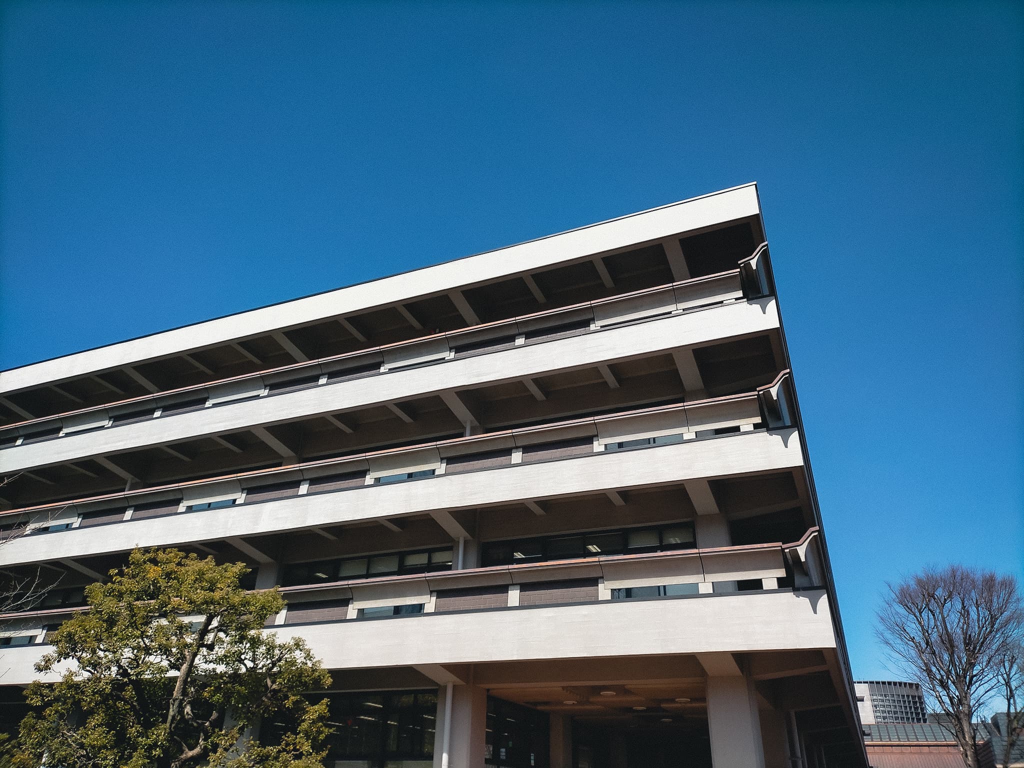 国立国会図書館の建物の一部分。背景は快晴